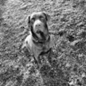 Meet your Posher, Chloe